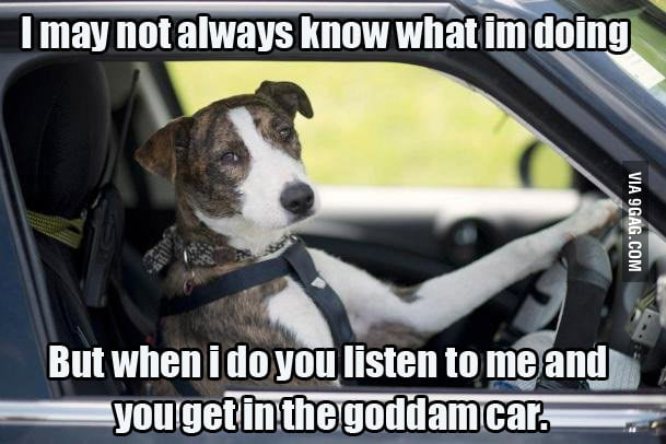 The Most Interesting Dog in the World - 9GAG