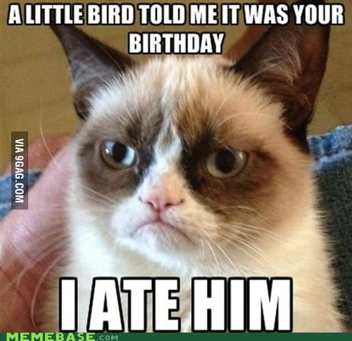 Grumpy Cat On Birthdays Gag