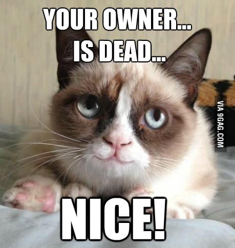 Grumpy Now Meme Not so Grumpy now... - 9GAG