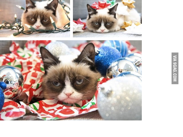 Grumpy cat doesnt like christmas - 9GAG