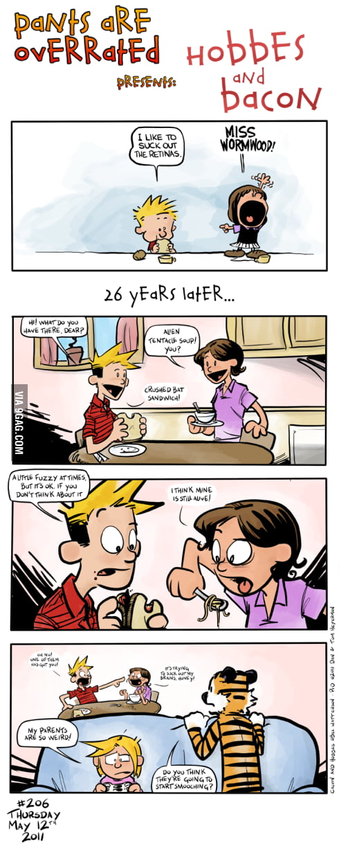 To The Fans Of Calvin And Hobbes 26 Years Later 9gag