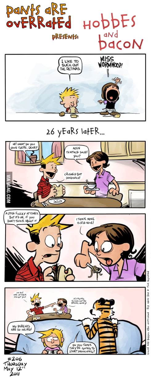 To The Fans Of Calvin And Hobbes 26 Years Later 9gag 