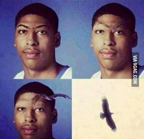 Just Anthony Davis' Eyebrows.. - 9GAG