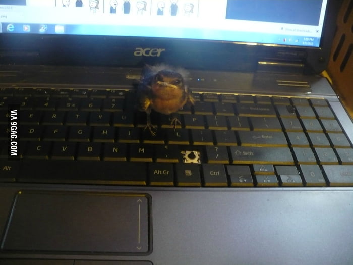 I think he doesn't like that particular button. - 9GAG