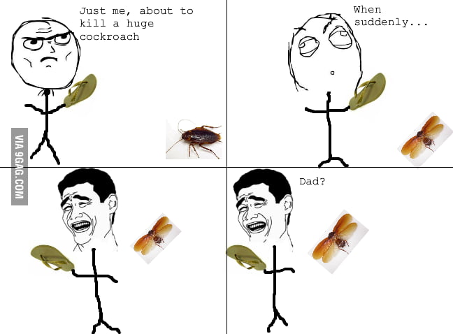 Everyone's brave ti'll the cockroach starts flying - 9GAG