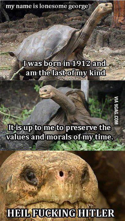 Nazi Turtle - 9GAG