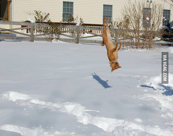 What is this gravity you speak of?