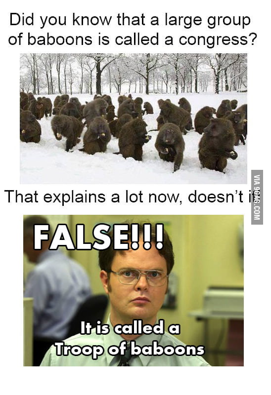 FALSE Fact Alert! - 9GAG