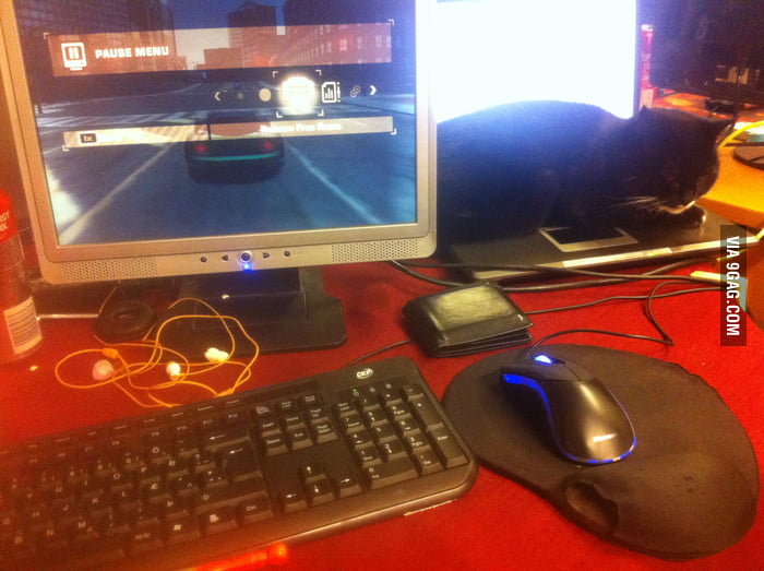 Decoy laptop for the cat - 9GAG
