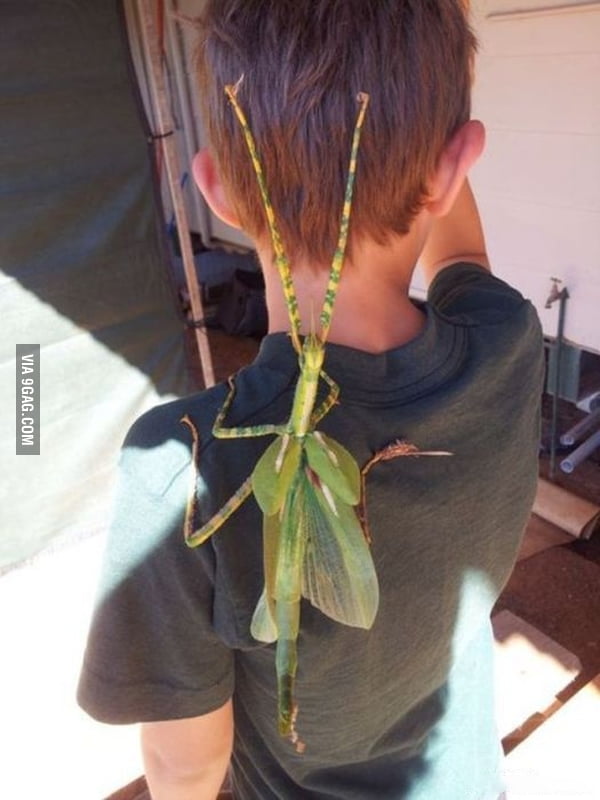 DONT MOVE. *Picks a baseball bat.. 9GAG