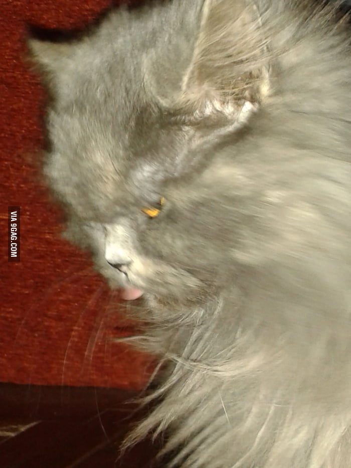 Dat face - 9GAG
