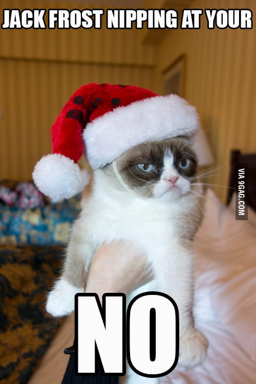 Grumpy Cat Christmas Songs Gag
