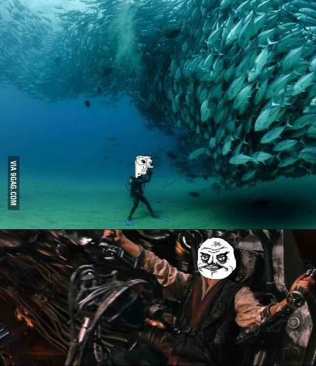 Sentinel Fish - 9GAG