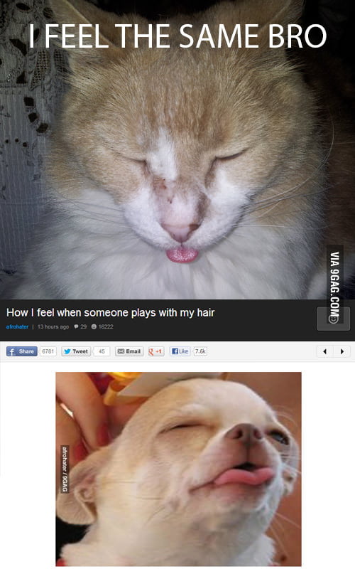 I feel the same bro - 9GAG