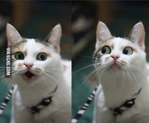 Dat Face . - 9GAG