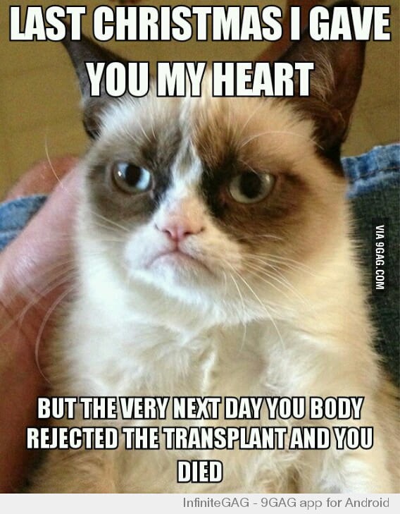 Grumpy Cat With Captions Christmas