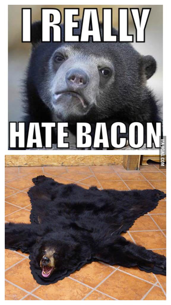 Confession Bear on bacon 9GAG