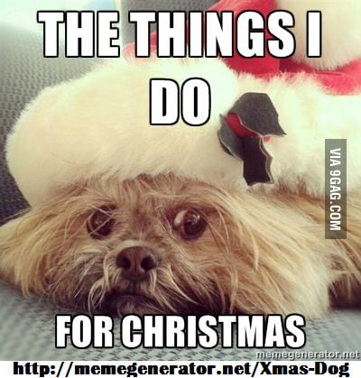 Xmas Dog - 9GAG