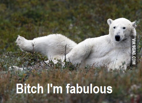 B*tch I'm Fabulous - 9GAG