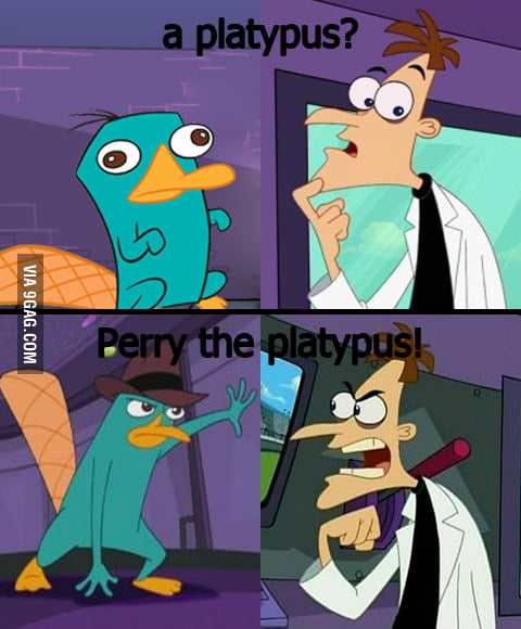 A platypus? Perry the platypus! - 9GAG