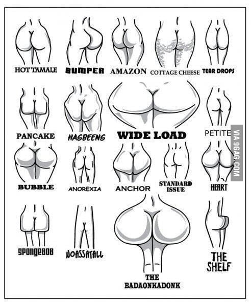 Types Of Ass 28