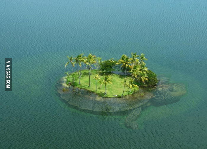 Weird Island - 9GAG