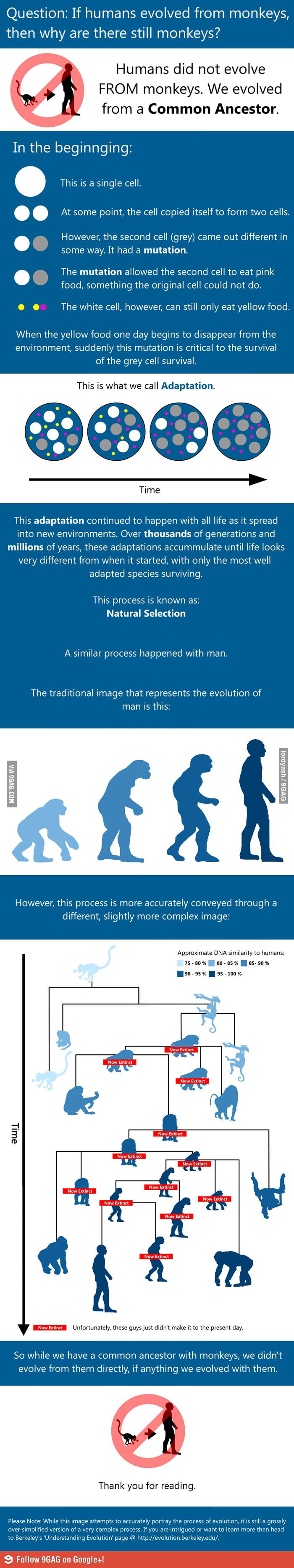 Evolution - 9GAG