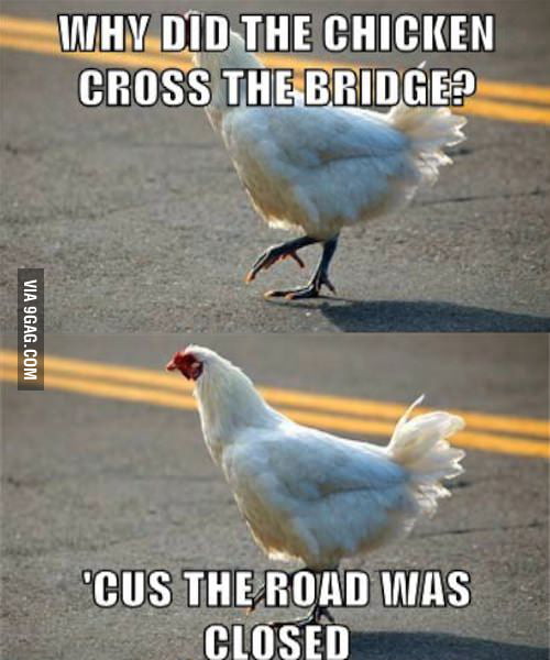 Why did the chicken cross the bridge? - 9GAG