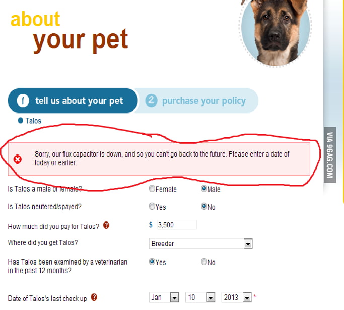 My Pet Insurance Knows What's Up - 9GAG