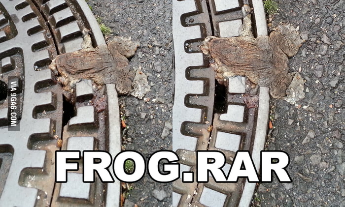 Frog.rar - 9GAG