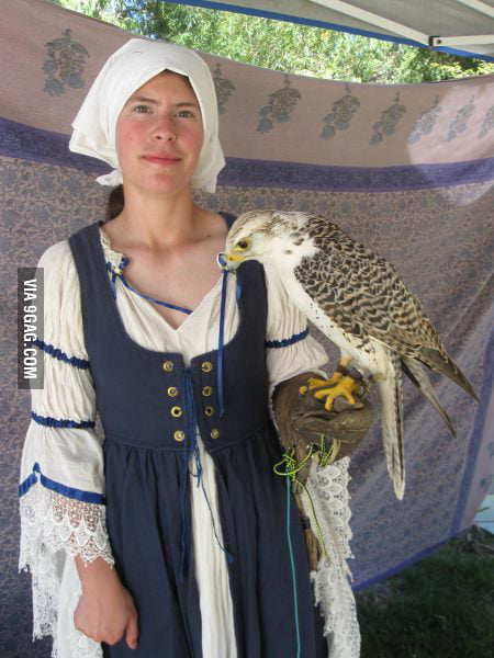 This falcon must be a guy!