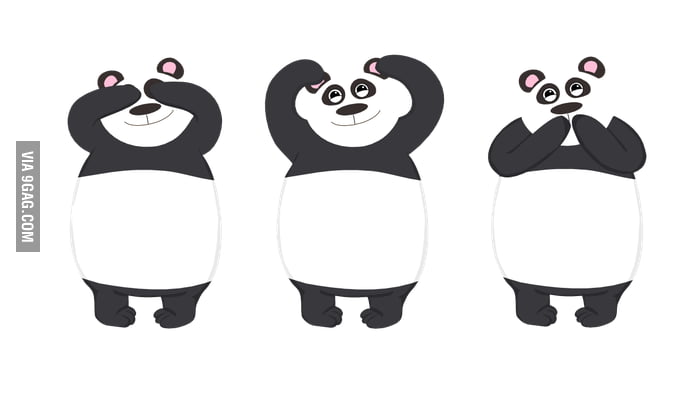 Three wise pandas - 9GAG