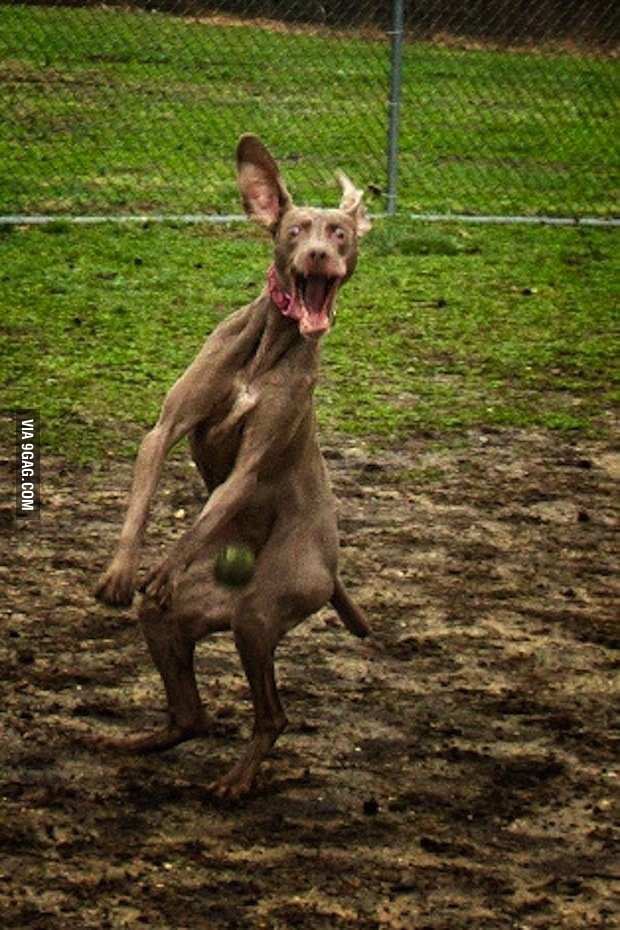 Dat face - 9GAG