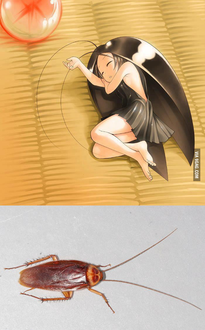 Awakened Cockroach | Anime-Planet