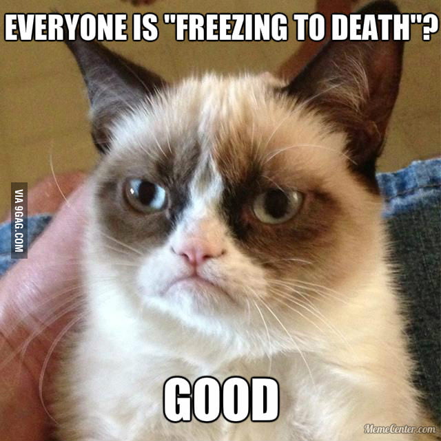 Grumpy Cat on cold weather 9GAG