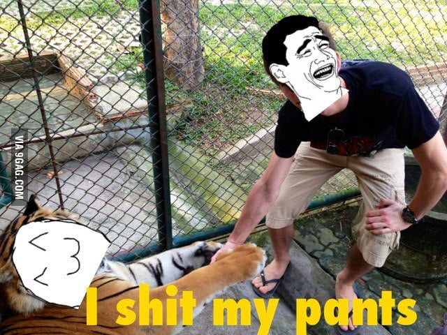 It's just a big cat... - 9GAG
