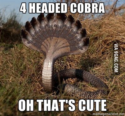 4 headed dragon? - 9GAG