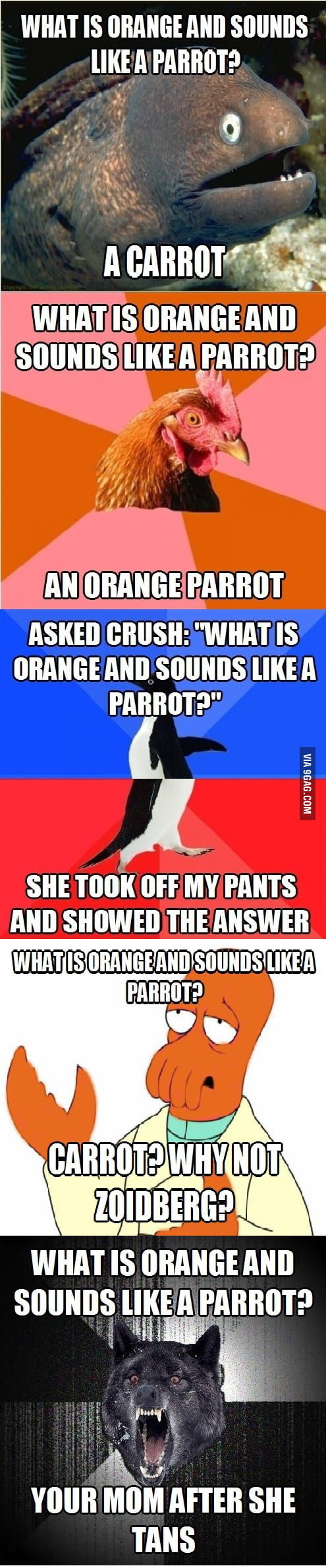 what-is-orange-and-sounds-like-a-parrot-9gag