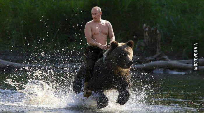 Vladimir Putin S Personal Bear 9gag