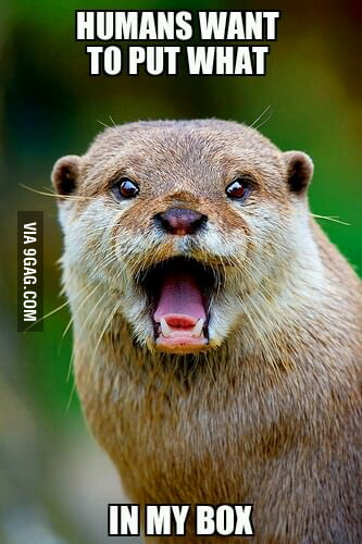 Otterly shocked - 9GAG