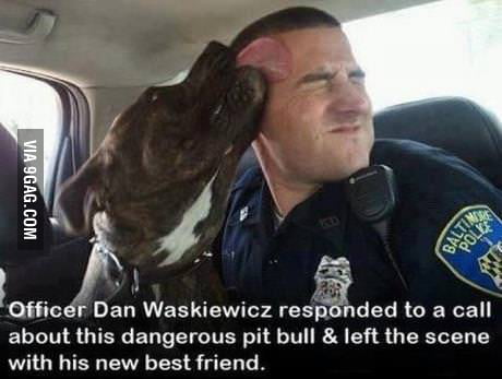 Made A New Friend 9gag