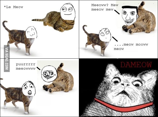 Le meow meow Meowday - 9GAG