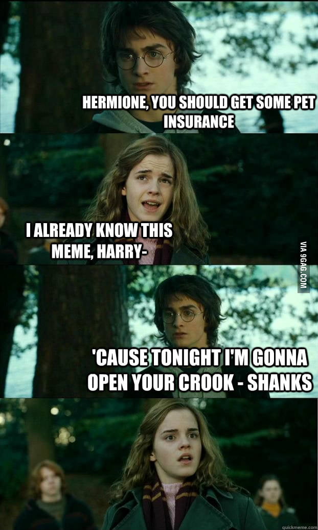 Horny Harry has no shame - 9GAG