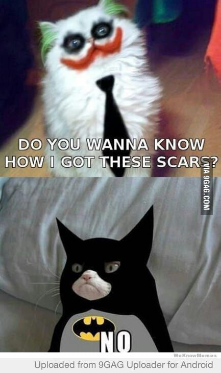 No Animals Were Harmed In The Making Of This Meme 9gag