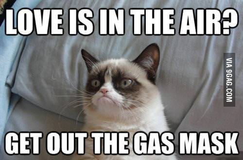 Grumpy Cat Strikes Again Gag