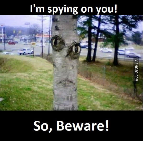 The Trees Have Eyes 9GAG