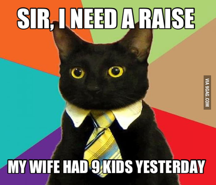 I need cat