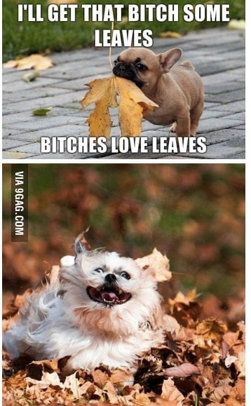 B*tches Love Leaves - 9GAG