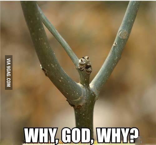 why-god-why-always-me-9gag