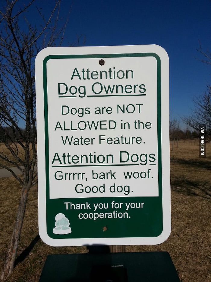 Attention Dogs